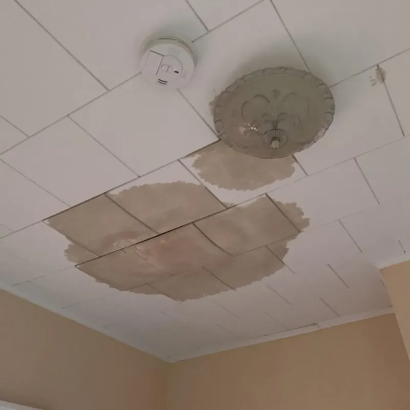 Ceiling Water Damage Repair in Henry County, VA