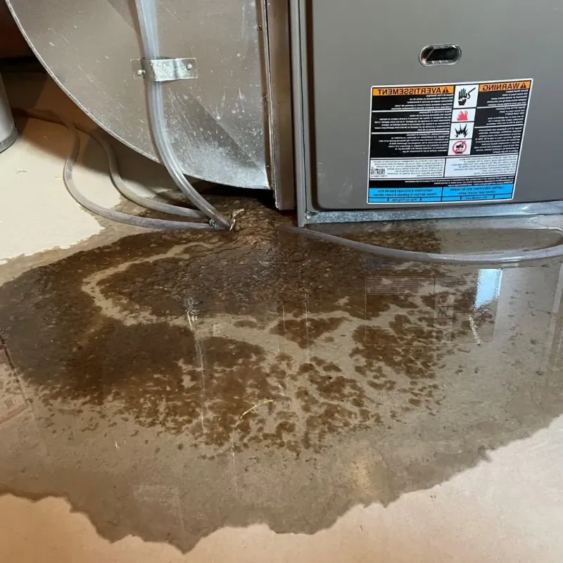 Pipe Burst and Leak Restoration in Henry County, VA