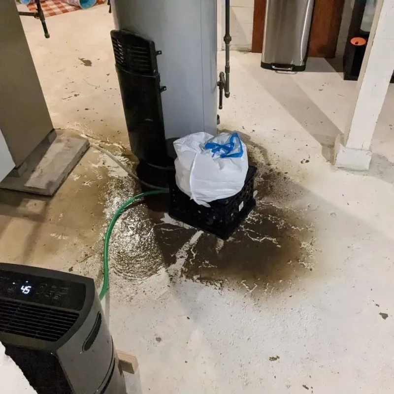 Sewage Backup Cleanup Service in Henry County, VA